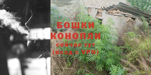 ПСИЛОЦИБИНОВЫЕ ГРИБЫ Лагань