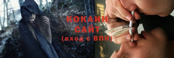 прущие грибы Майский