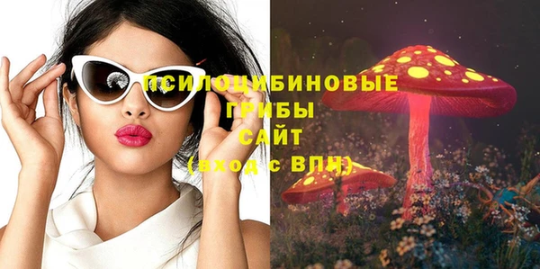 ПСИЛОЦИБИНОВЫЕ ГРИБЫ Лагань