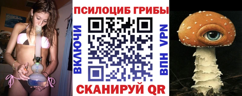 Псилоцибиновые грибы Psilocybine cubensis Руза
